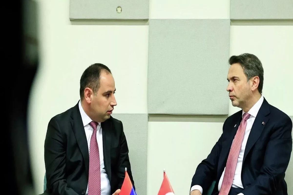 Ереван и Анкара обсудили энергосотрудничество в Париже