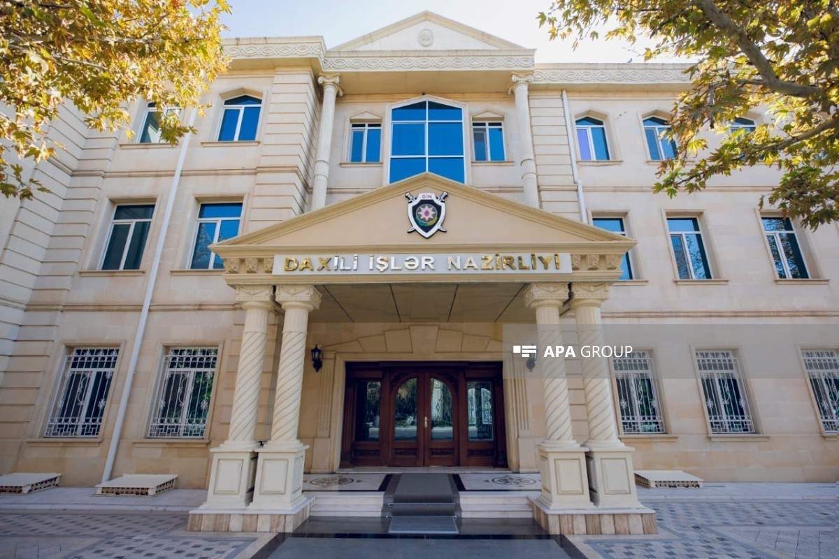 Жительница Нахчывана задержана за организацию онлайн-казино