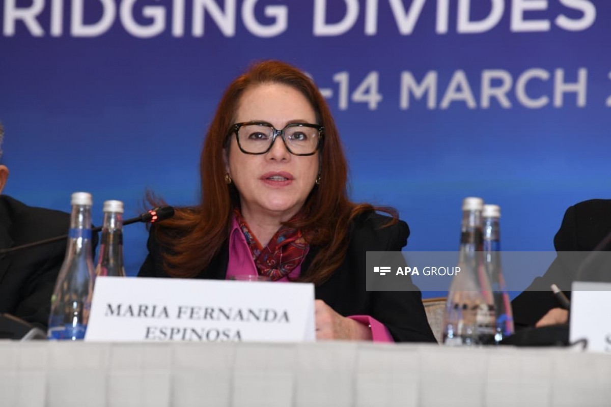 В Баку прошла пресс-конференция, посвященная XIII Глобальному Баку Форуму-ФОТО 