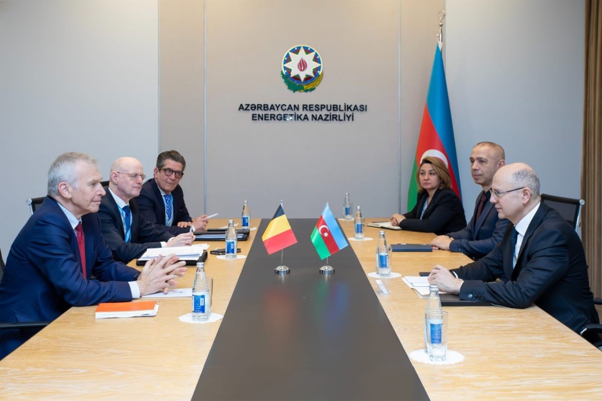 Азербайджан обсуждает с бельгийской W-Kracht проекты «зеленой» энергетики