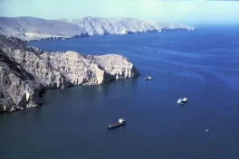 США могут создать коалицию для сопровождения судов в Ормузском проливе