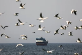 США хотят объявить о коалиции по сопровождению судов через Ормузский пролив