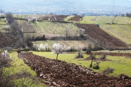 Земли азербайджанцев в Марнеульском районе изымают под строительство автодороги