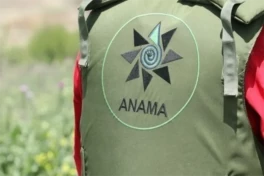 ANAMA: за неделю очищено более 1200 гектаров территорий