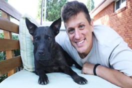 ChatGPT помог создать экспериментальную вакцину против рака для собаки