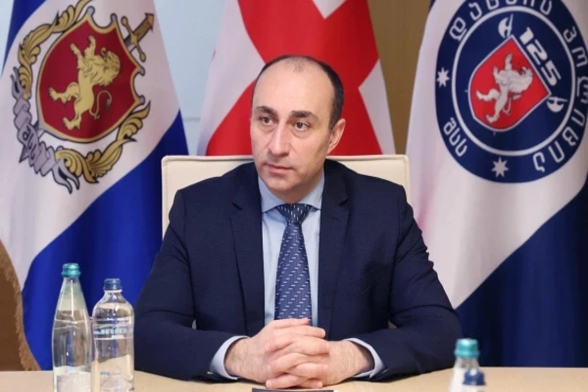 глава грузинского МВД Гека Геладзе