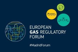 Апрельский форум в Мадриде обсудит проблемы газового рынка ЕС
