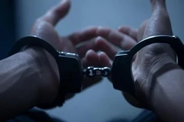 Еще один разыскиваемый гражданин доставлен в Азербайджан из Черногории