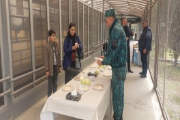 Из Ирана в Азербайджан к настоящему времени эвакуирован 2921 гражданин 75 стран