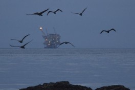 У берегов Катара отключены восемь буровых платформ