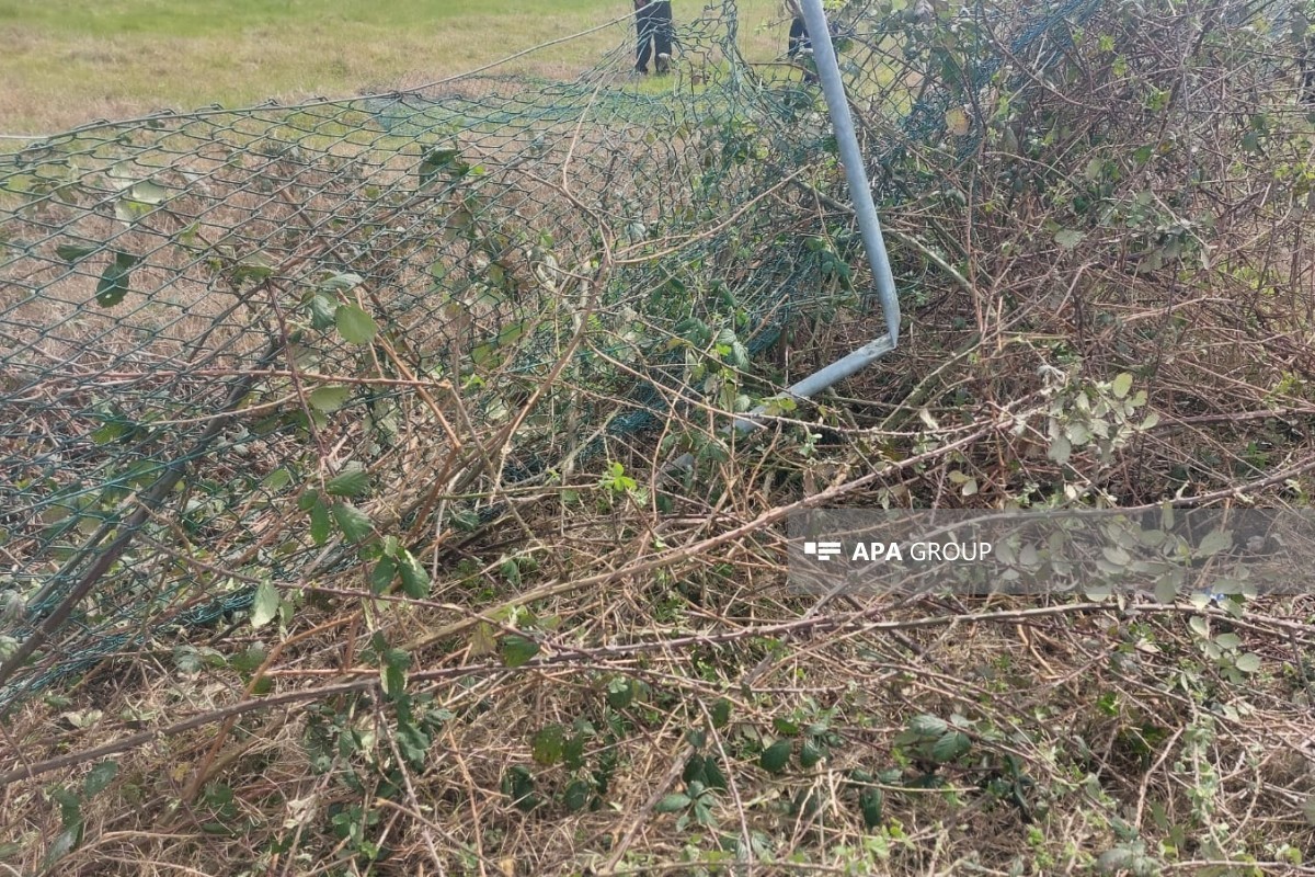 Машина слетела в канал в Лянкяране: пострадали супруги-ФОТО 