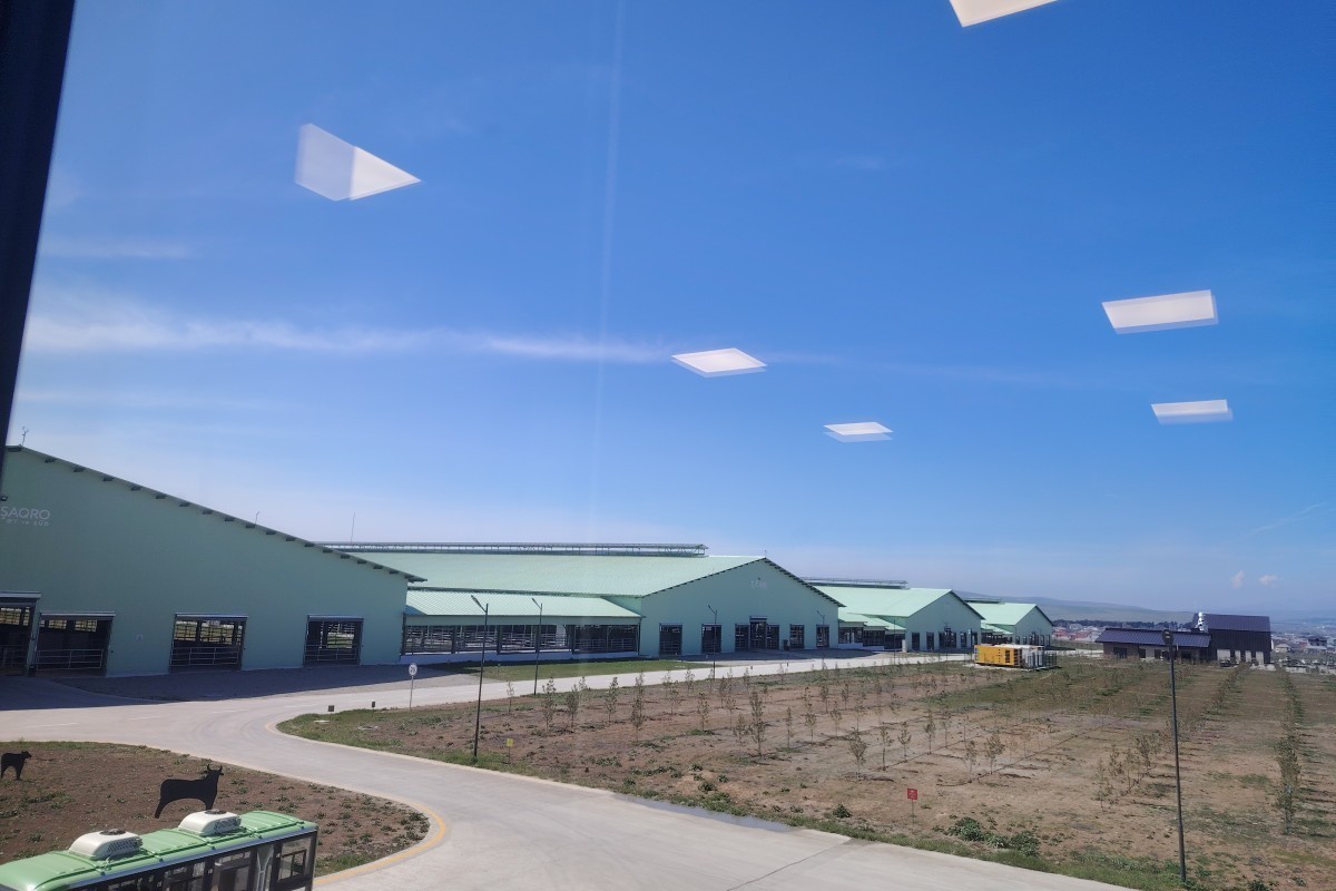 AI и ферма: как работает «Ширван Агро»-ФОТО 