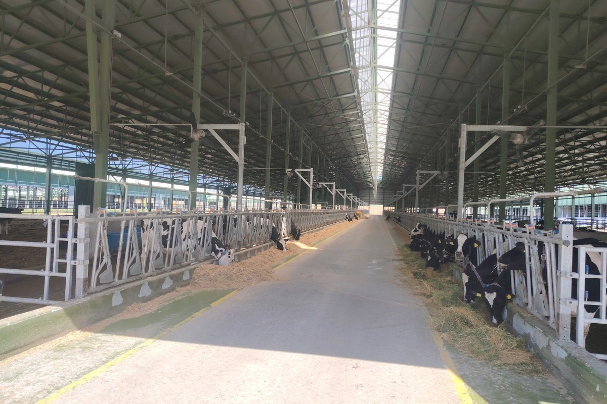 AI и ферма: как работает «Ширван Агро»-ФОТО 