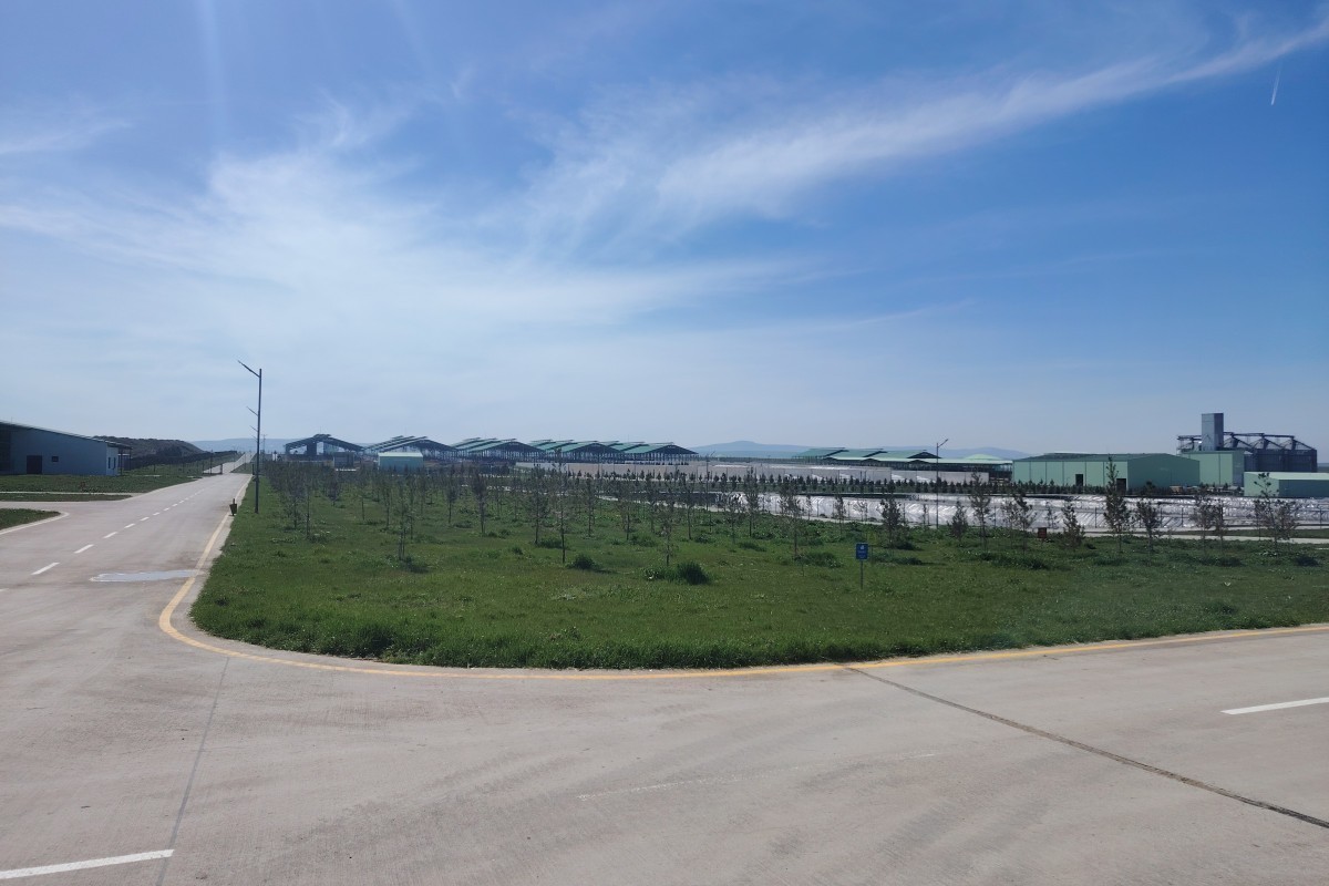 AI и ферма: как работает «Ширван Агро»-ФОТО 