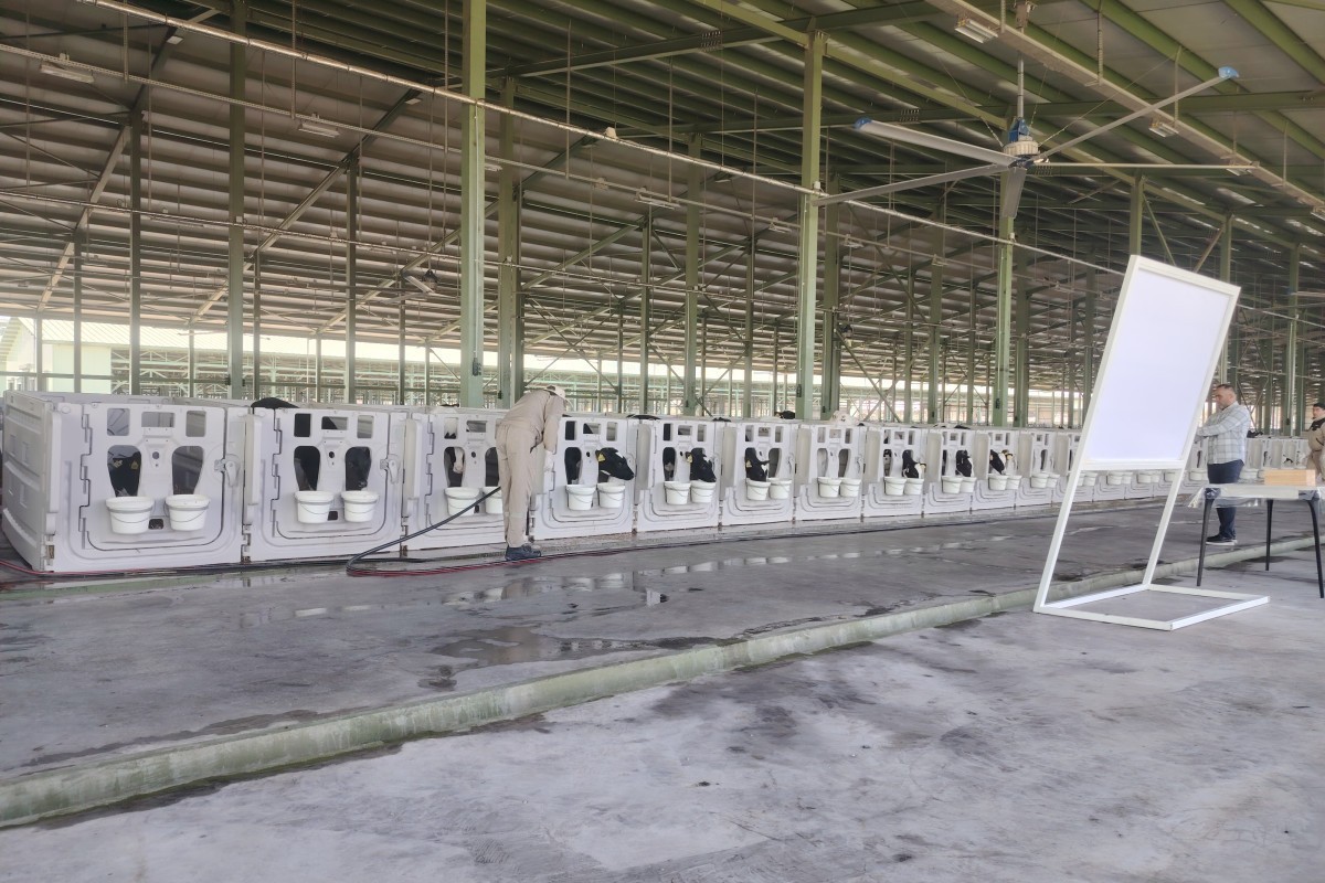 AI и ферма: как работает «Ширван Агро»-ФОТО 