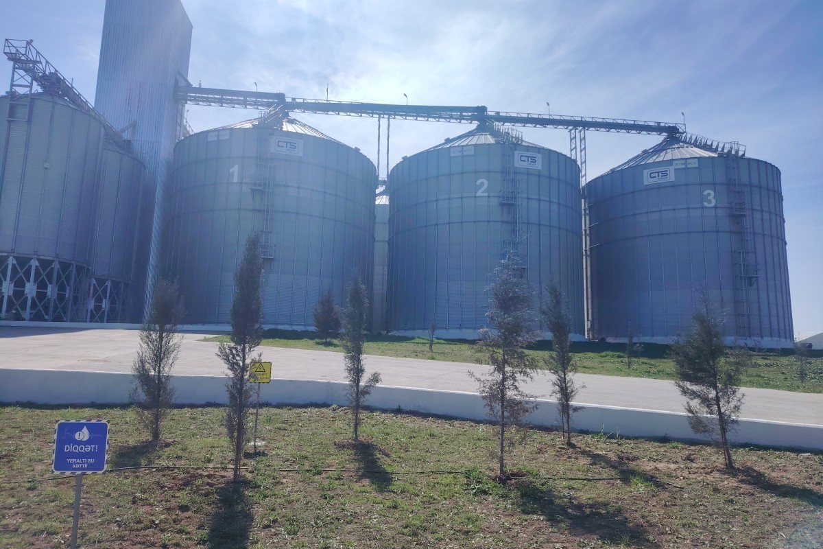 AI и ферма: как работает «Ширван Агро»-ФОТО 