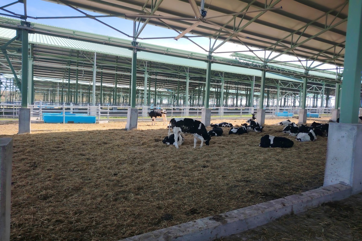 AI и ферма: как работает «Ширван Агро»-ФОТО 