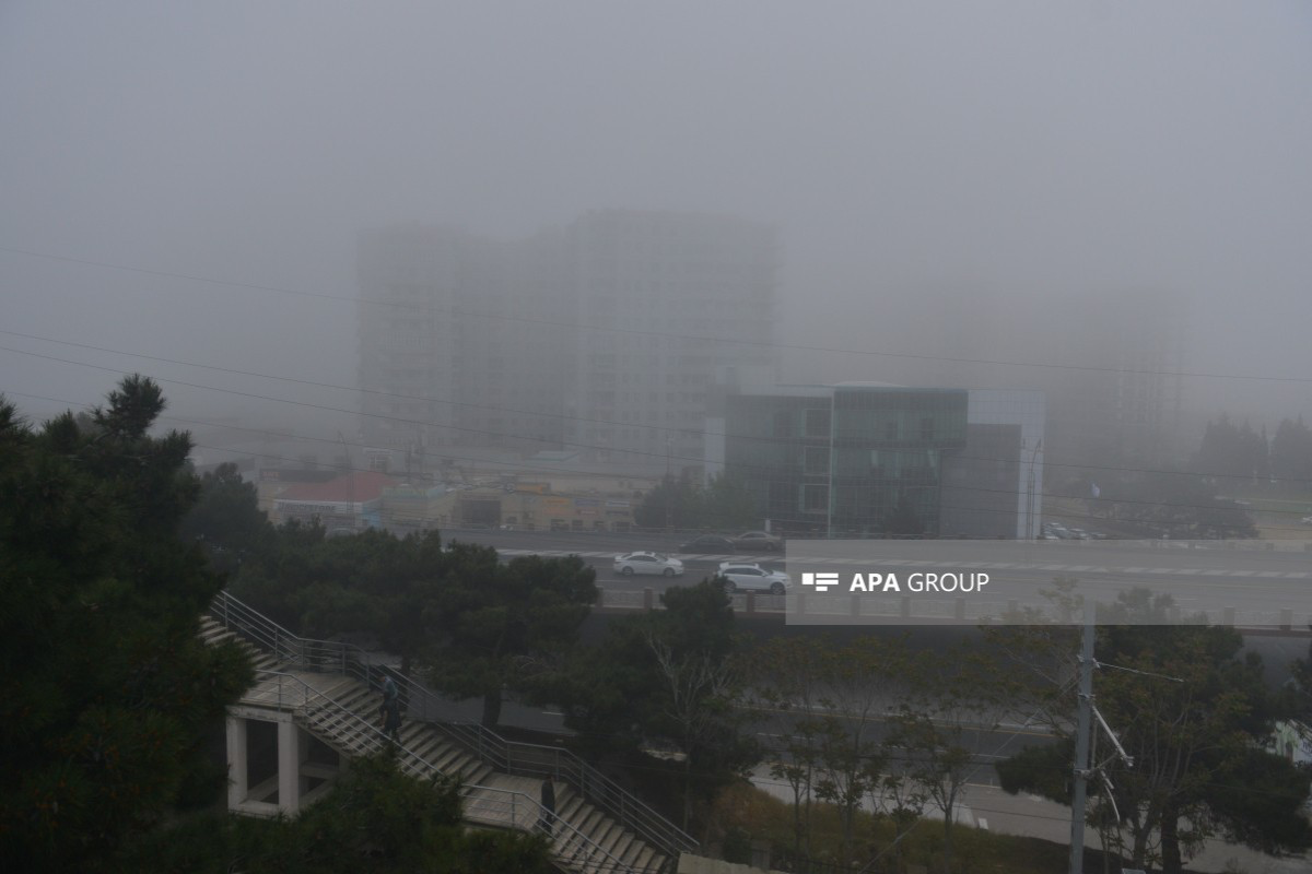 Завтра в Азербайджане ожидаются переменные дожди и туман