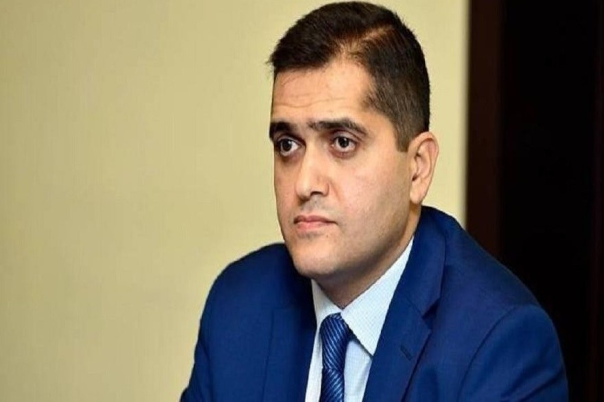 Антиазербайджанская кампания: роль Окампо и армянского лобби -КОММЕНТАРИЙ ЭЛЬХАНА ШАХИНОГЛУ  