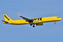 СМИ: Лоукостер Spirit Airlines на грани остановки деятельности