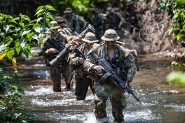 СМИ: Военные США возобновили курсы боевой подготовки в джунглях Панамы