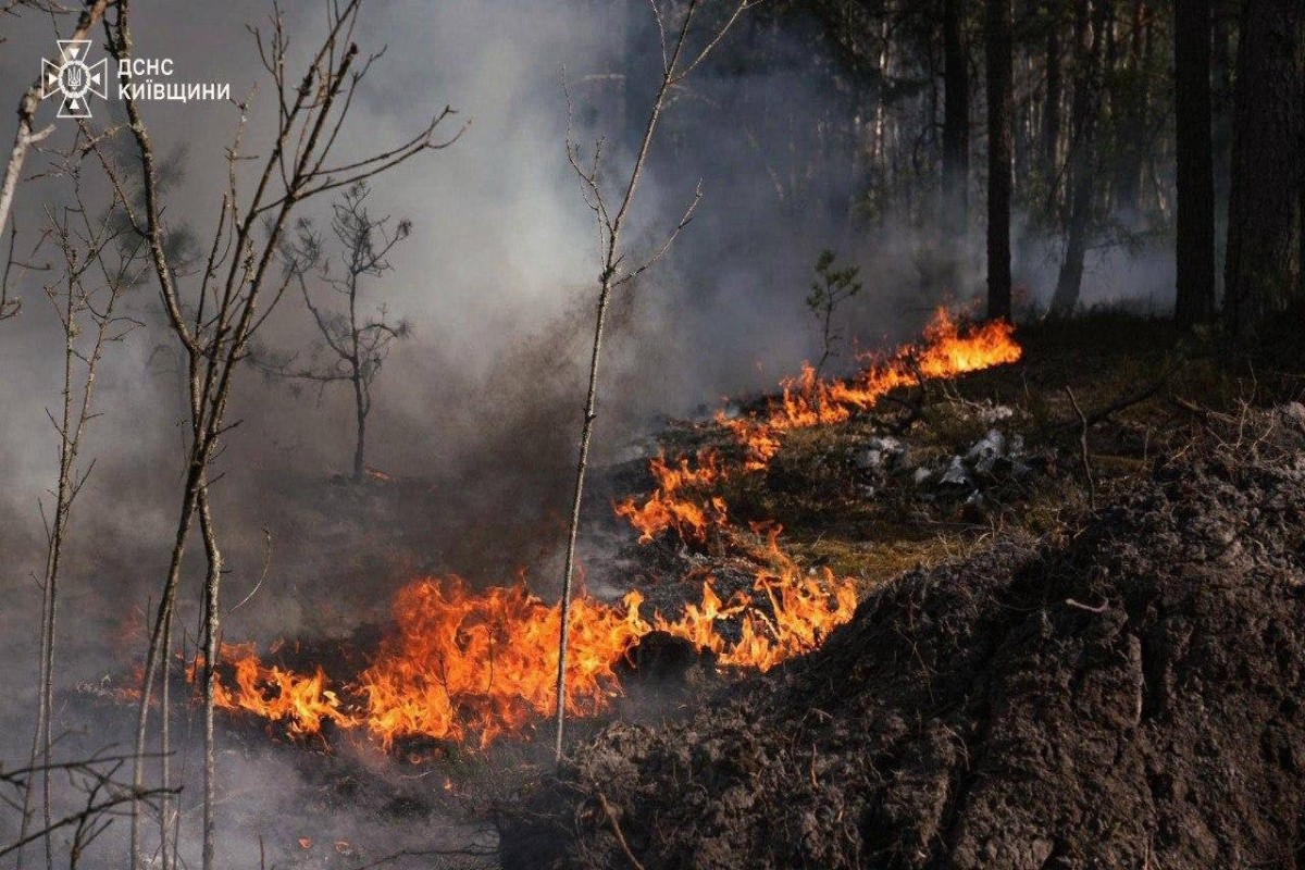 Масштабный лесной пожар охватил Чернобыльскую зону отчуждения-ФОТО 