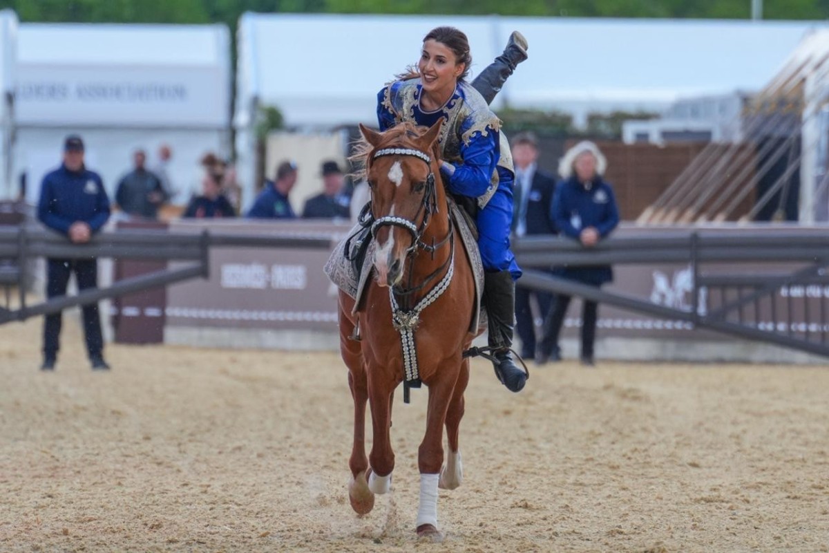 Король Чарльз III посетил азербайджанское шоу на Windsor Royal Horse Show-ФОТО 