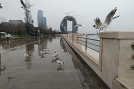 Во вторник в Баку и на Абшероне дождливо, северо-западный ветер