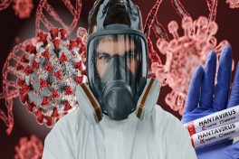 Пандемия страха: как ВОЗ и Эбола запускают глобальную машину тревоги