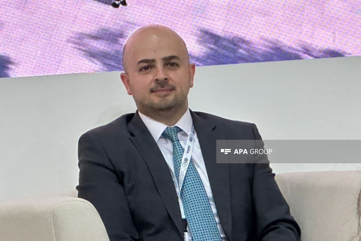 Вахид Гаджиев: Зангезурский коридор увеличит грузовой потенциал страны