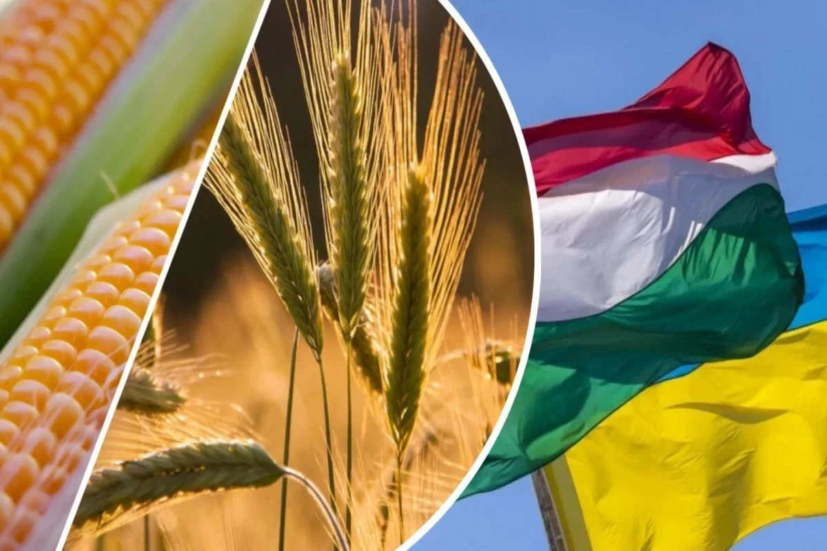 Венгрия запрещает импорт сельскохозяйственной продукции из Украины