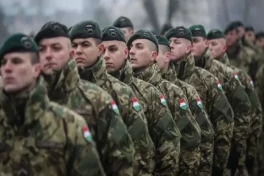 Мадьяр: Венгрия не будет направлять военных в Украину
