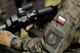 Польша получит почти треть бюджета оборонной программы ЕС