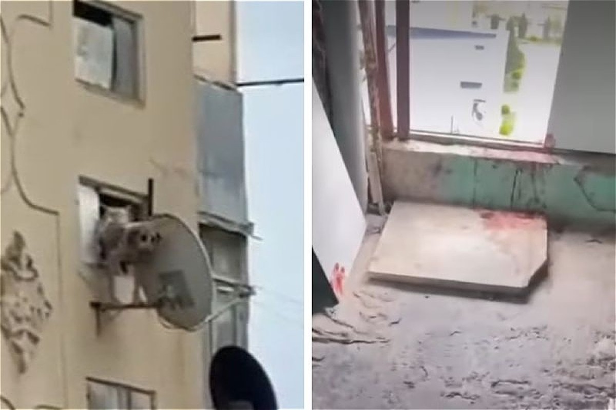 Мужчину арестовали после видео с выброшенной из окна собакой в Баку