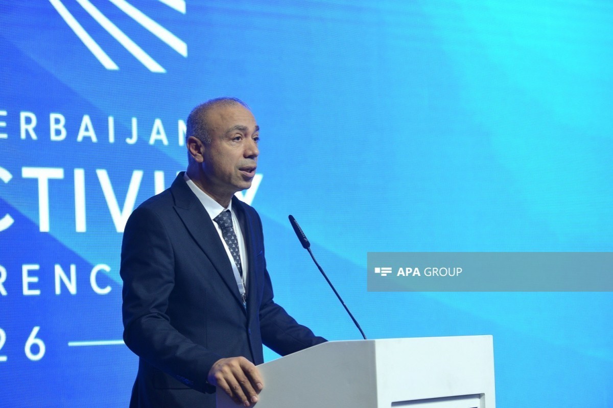 Баку предложил Германии подключиться к зеленым энергопроектам региона 
