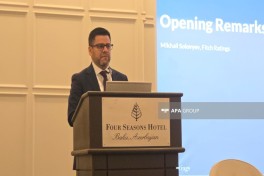 Fitch: Финансовая позиция Азербайджана значительно сильнее сопоставимых стран