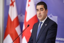 Папуашвили заявил, что Грузия не будет следовать «вредным советам» ЕС