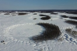 Bloomberg: Россия сидит на биологической бомбе замедленного действия 