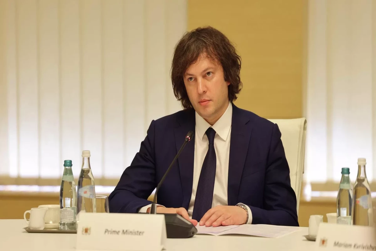 Кобахидзе - послу Евросоюза: После драки руки не пожимают