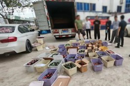 «Во все тяжкие» по-китайски: профессор на пенсии создал международную наркосеть