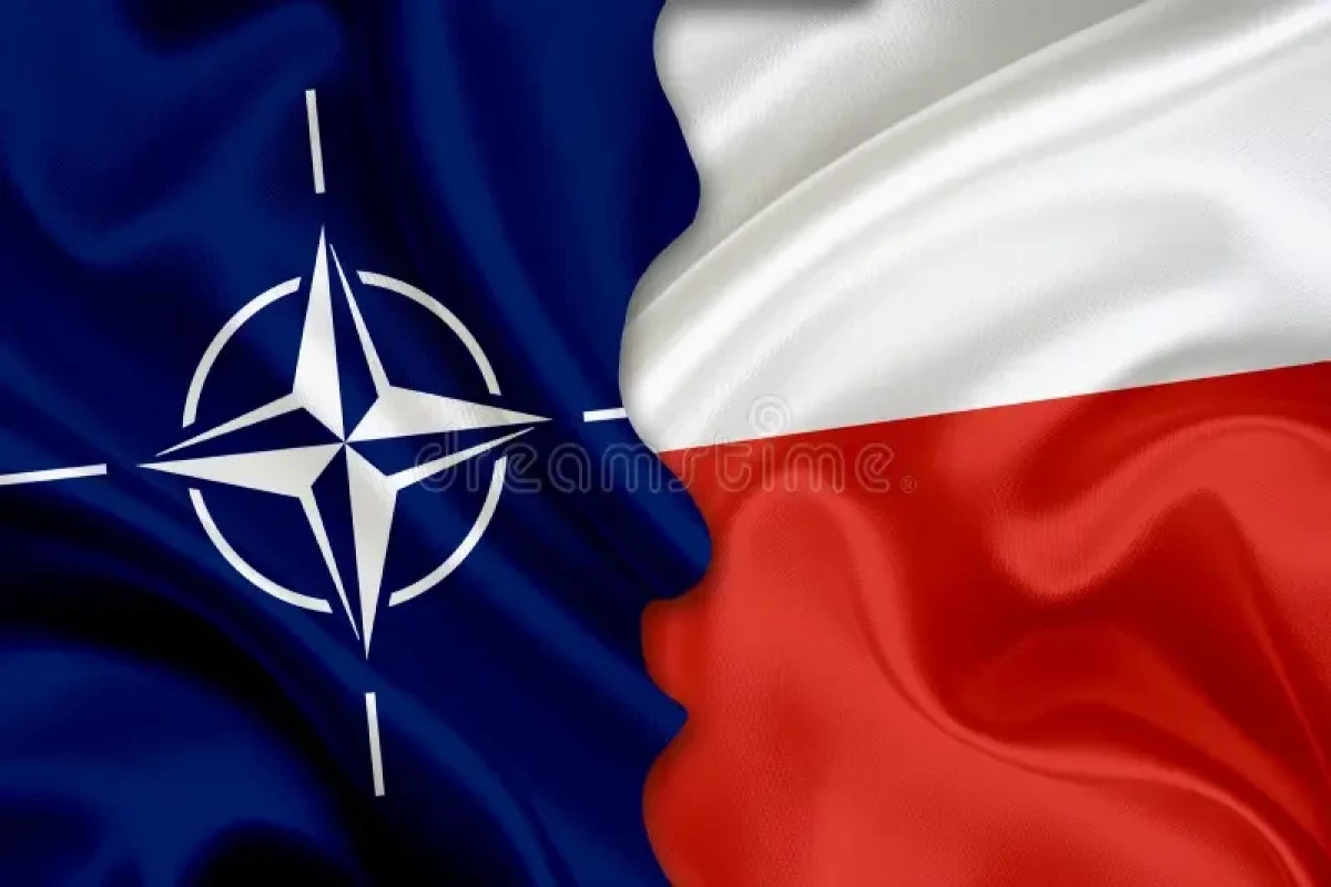 Варшава поставила коммерческие условия для расширения военного присутствия в НАТО
