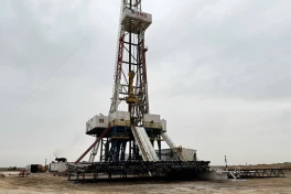 Узбекистан предлагает инвесторам еще 128 блоков углеводородов