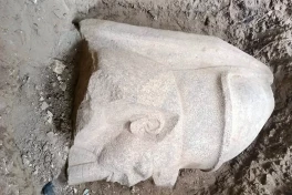 Египтянин нашел перед домом остатки статуи Рамзеса II