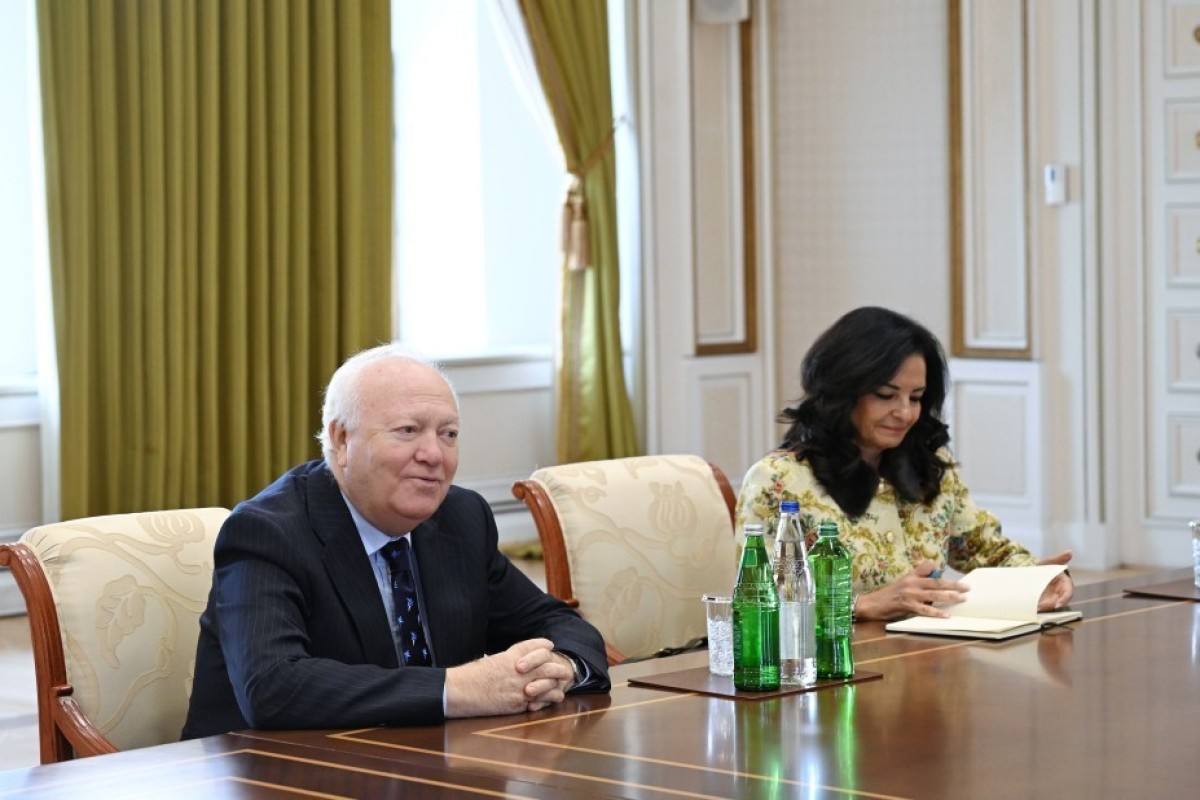 Алиев обсудил с представителем ООН борьбу с исламофобией-ФОТО 