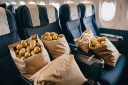 Boeing проверила Wi-Fi в самолете с помощью девяти тонн картофеля