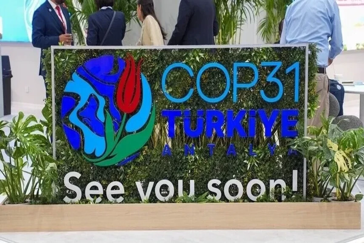 ЕС забил тревогу перед COP31 из-за климатических обязательств стран