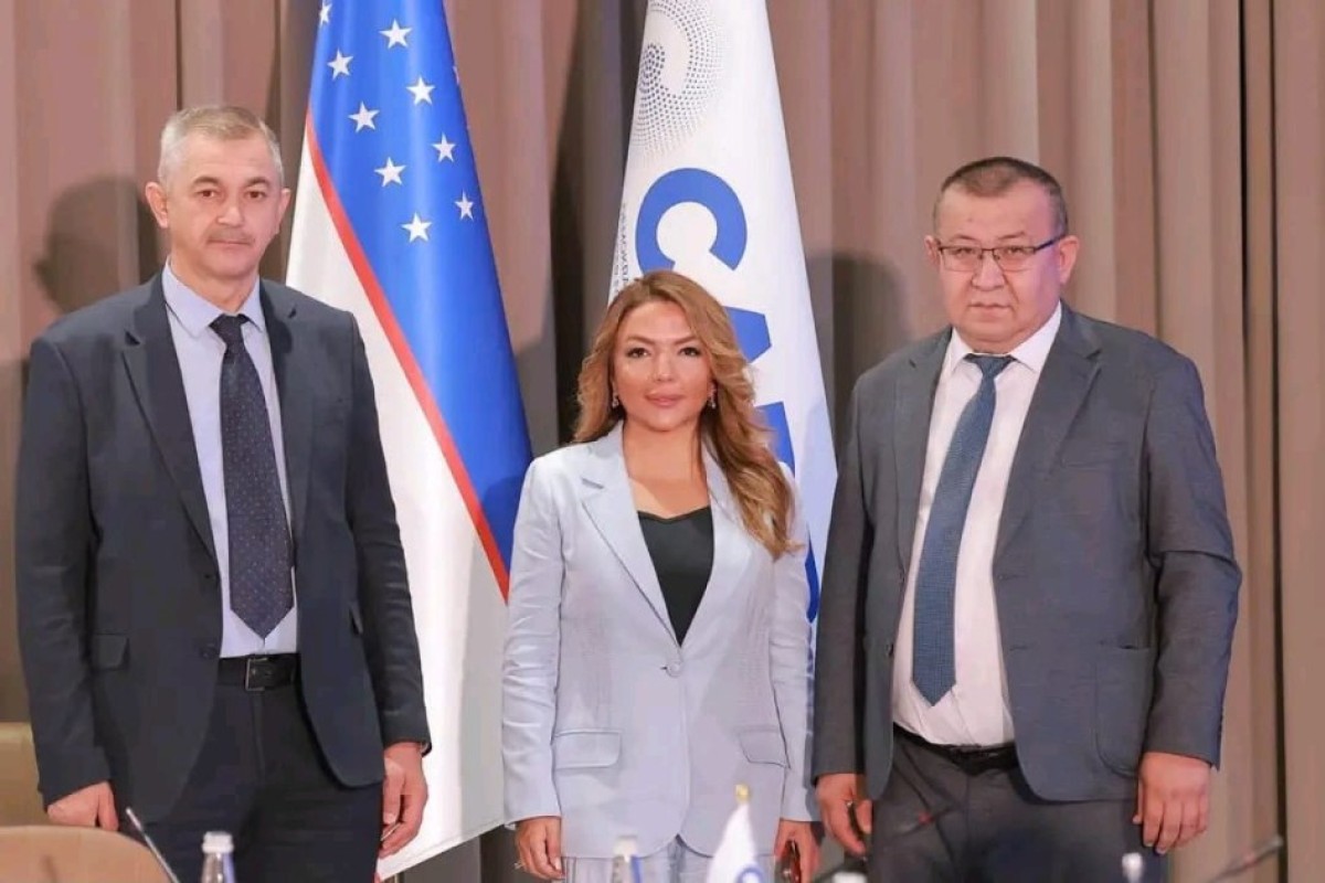 Азербайджан и Узбекистан расширяют сотрудничество между НПО