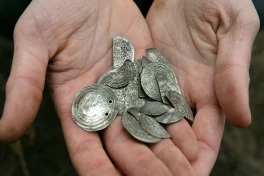 Шведка пошла за червями и нашла сокровища на 350 тысяч евро