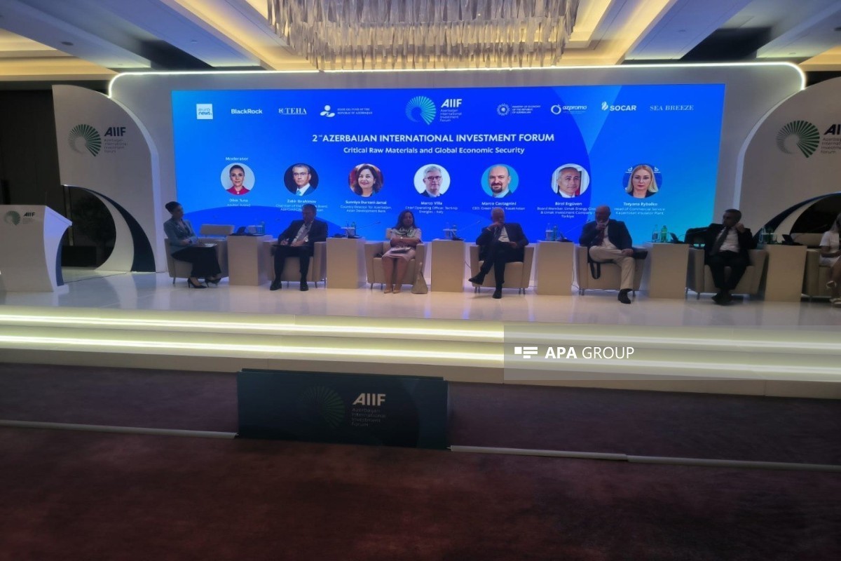 AzerGold раскрыл планы по созданию регионального центра критических минералов